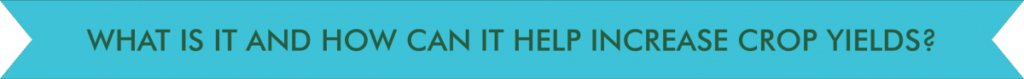 Infographic icon 10